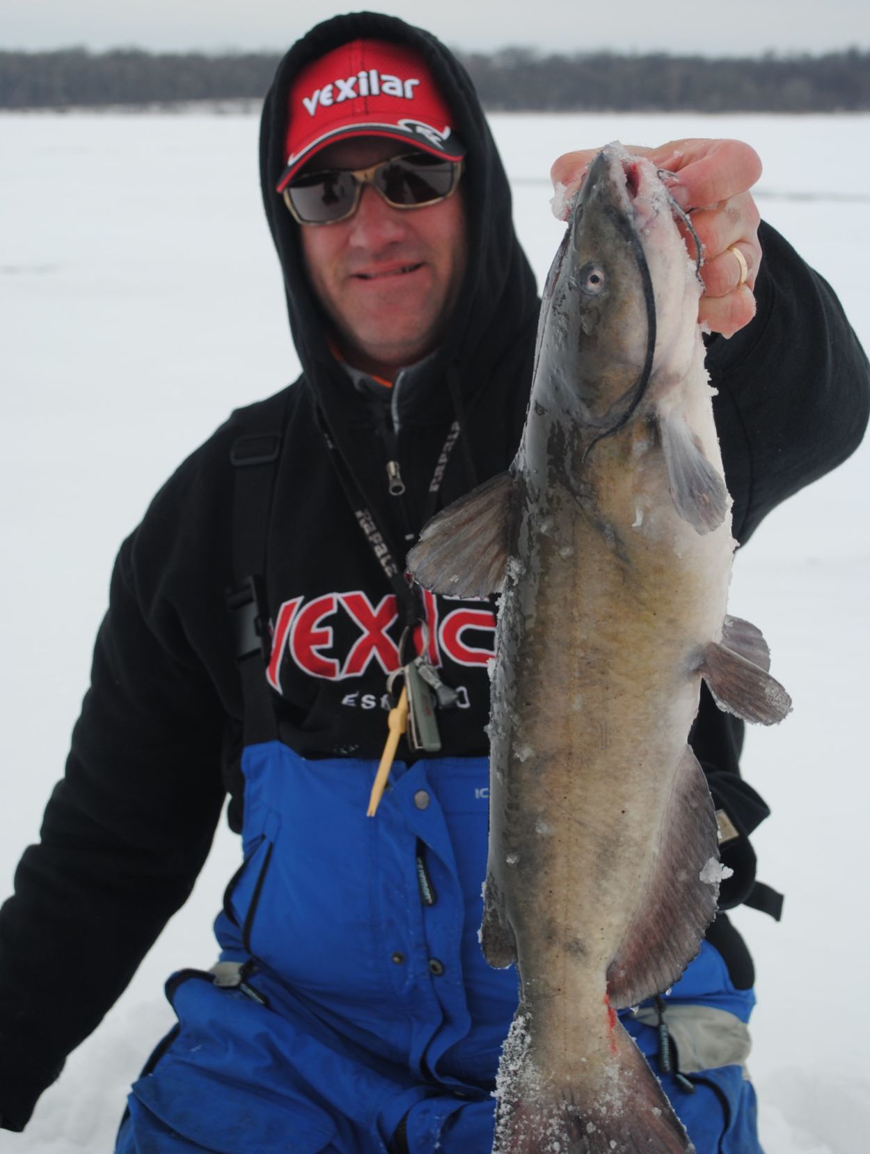 Channel catfish